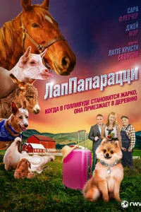  ЛапПарацци 